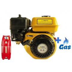 Бензо-газовый двигатель FORTE F200G LPG Буча