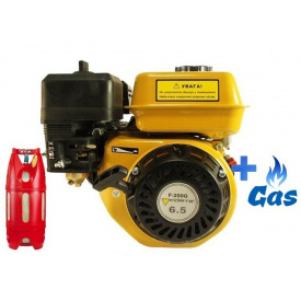 Бензо-газовый двигатель FORTE F200G LPG