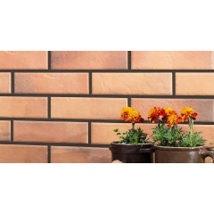 Фасадная клинкерная плитка Cerrad Retro Brick curry 245х65х8 мм Ужгород