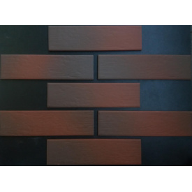 Фасадна плитка клінкерна Paradyz CLOUD BROWN DURO 24,5x6,6 см