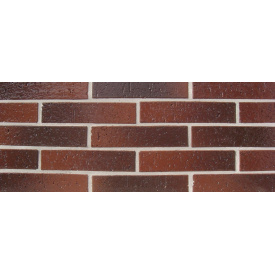 Фасадна облицювальна цегла АВС-Klinkergruppe Rust 220x105x48 мм (Ref. 3111)
