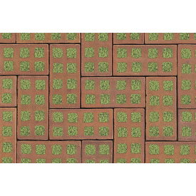 Тротуарная клинкерная плитка АВС-Klinkergruppe Lachsrot 200х100х40 мм (L Rasenklinker 08)