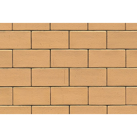 Тротуарная клинкерная плитка АВС-Klinkergruppe Niederlausitzer 200х100х40 мм (01)
