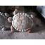 Садовий декор Черепаха 3D 400х340х65 мм плямистий Луцьк