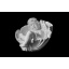 Скульптура Ангел в черепашці 370х400х270 мм Івано-Франківськ