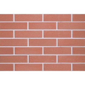 Цегла облицювальна ECOBRICK гладкий вишневий 250х120х65 мм