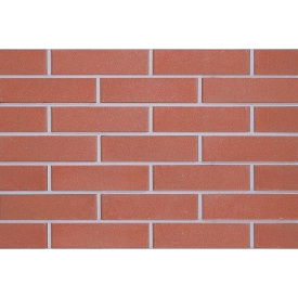 Кирпич облицовочный ECOBRICK гладкий 250х120х65 мм красный