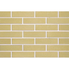 Цегла облицювальна ECOBRICK гладкий 250х120х65 мм жовтий