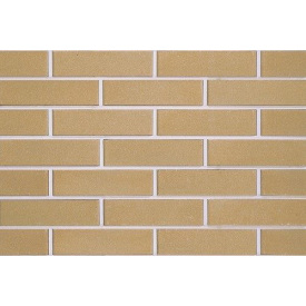 Цегла облицювальна ECOBRICK гладкий 250х120х65 мм бежевий