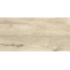 Керамічна плитка для підлоги Golden Tile Alpina Wood 307x607 мм beige (891940) Київ