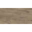 Керамическая плитка для пола Golden Tile Alpina Wood 307x607 мм brown (897940) Черновцы