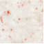 Рідкі шпалери Qстандарт Гортензія 205 білий шовк білий з помаранчевими пластівцями 1 кг Суми