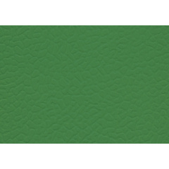 Спортивний лінолеум LG Hausys Sport Leisure 4.0 Solid 4 мм 28,8 м2 dark green (LES6606-01) Київ