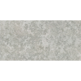 Керамогранитная плитка Stevol Matt grey 40х80 см (W4814AWI-B)