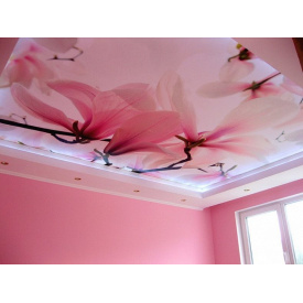 Натяжнa стеля з фотодруком