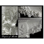 Камин белый мрамор с резьбой 1600х1200х300мм Киев