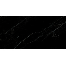 Керамогранитная плитка Stevol Thunder black 60х120 см