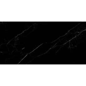 Керамогранитная плитка Stevol Thunder black 60х120 см