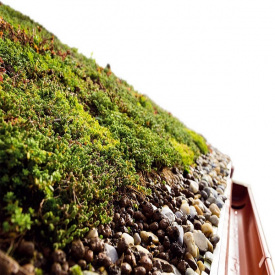 Накопительный мат EXTENSIVE SLOPE для наклонной зеленой кровли