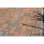 Тротуарна плитка Старе місто 40 мм в кольорі Бровари