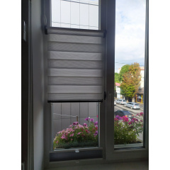 Ролети відкритого типу день-ніч 500x1000 мм Дубно