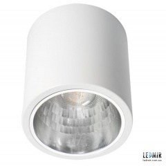 Накладной светильник Kanlux NIKOR DLP-60-W E27 Белый Черновцы