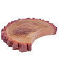 Плитка с древесной фактурой Sezione (круг) WOODLINE Полтава