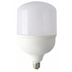 Светодиодная лампа ЕВРОСВЕТ 60 Вт 6400К (VIS-60-E40) Херсон