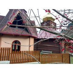 Паркан двосторонній Золотий Дуб під дерев`яний Київ