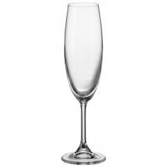 Набір бокалів Bohemia Sylvia (Klara) для шампанського 220 мл 6 шт 4S415/220 Коростень