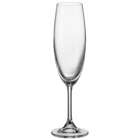 Набор бокалов Bohemia Sylvia (Klara) для шампанского 220 мл 6 шт 4S415/220