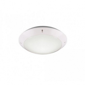 Потолочный светильник Trio R60501031 Camaro