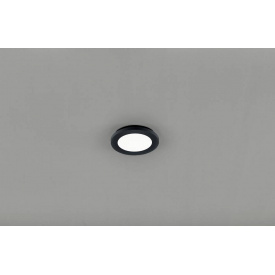 Настенно-потолочный светильник Trio R62921032 Camillus