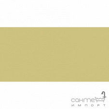 Плитка настінна 20x40 RAKO Color One Yellow Глянець RAL 0908040 WAAMB200