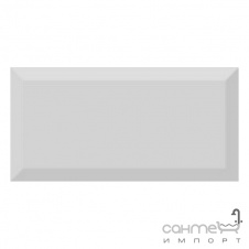 Фото - Плитка ABSOLUT KERAMIKA MONOCOLOR GRIS BISELADO BRILLO 10x20 Плитка ABSOLUT KERAMIKA MONOCOLOR GRIS BISELADO BRILLO 10x20