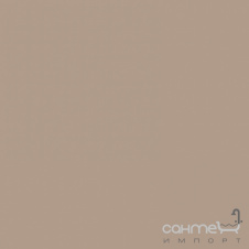 Плитка настінна 20x20 RAKO Color One Light Beige-Brown Глянсова RAL 0607020 WAA1N301