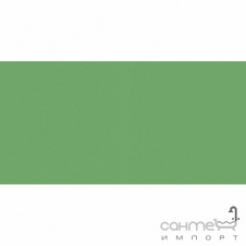 Плитка настінна 20x40 RAKO Color One Green Глянець RAL 1306050 WAAMB456