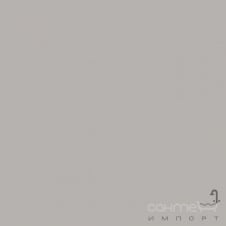 Плитка настінна 15x15 RAKO Color One Grey Матова RAL 0607005 WAA19210