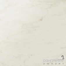 Керамічний граніт Atlas Concorde Marvel PRO Marvel Cremo Delicato 75х75 Lapp. AD4W