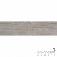 Керамограніт під дерево 22,5x90 Atlas Concorde Axi R10 Silver Fir Сірий