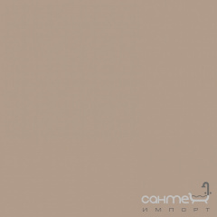 Плитка настінна 20x20 RAKO Color One Light Beige-Brown Глянсова RAL 0607020 WAA1N301 Хмельницький