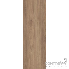 Плитка напольная Paradyz Lightmood Honey Gres Szkl. 20x60 Чернигов