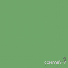 Плитка настенная 20x20 RAKO Color One Green Глянцевая RAL 1306050 WAA1N456