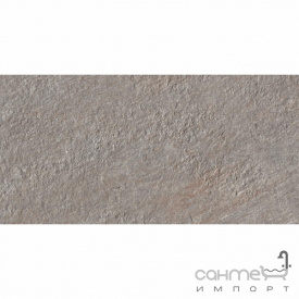 Универсальный керамогранит 30x60 Atlas Concorde Trust Silver Серый