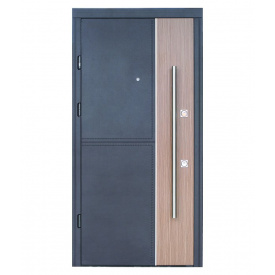 Дверь Страж Таргет