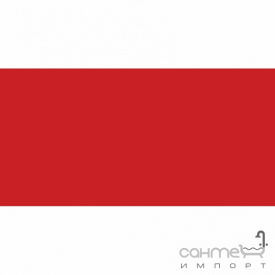 Плитка настінна 20x40 RAKO Color Red One Матова RAL 0304060 WAAMB373