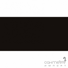 Плитка настенная 20x40 RAKO Color One Black Глянец RAL 0001500 WAAMB779