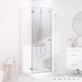 Двері для пентагональної душової кабіни Radaway Essenza Pro PTJ 10100000-54-01L прозоре скло / чорний лівосторонні