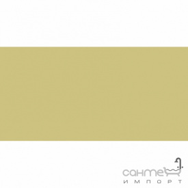Плитка настінна 20x40 RAKO Color One Yellow Глянець RAL 0908040 WAAMB200