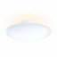Смарт-светильник PHILIPS COL-Phoenix-ceiling lamp-Opal white (31151/31/PH) Рівне